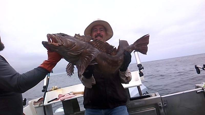 Kingfisher Fishing Lodge